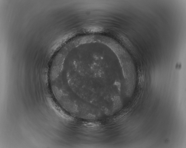 X0000115340447200911161836