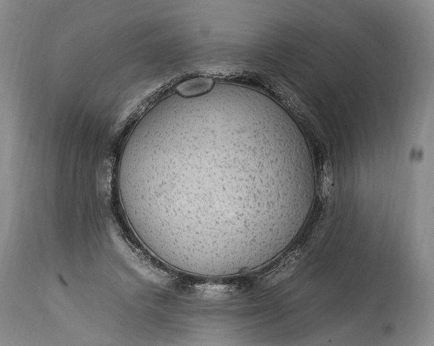 X0000115340448200911161836