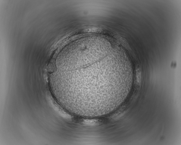 X0000115340450200911161836
