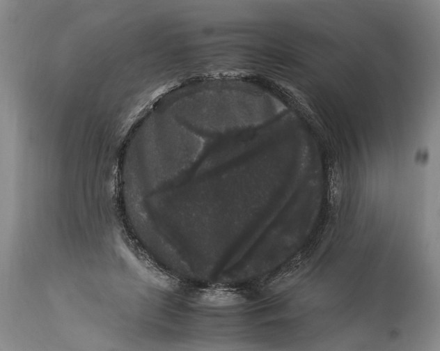 X0000115340451200911161836