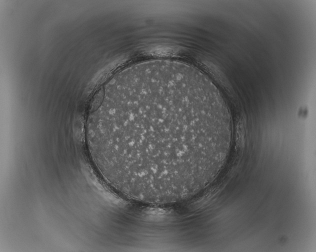 X0000115340453200911161836