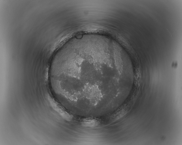X0000115340454200911161836