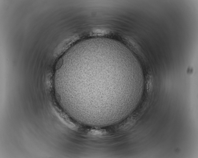 X0000115340455200911161836