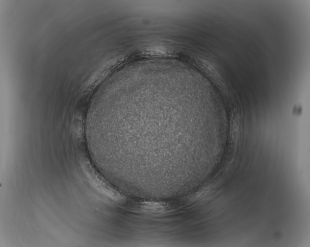 X0000115340457200911161836