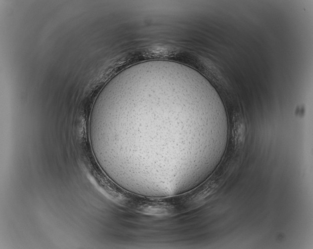 X0000115340459200911161836