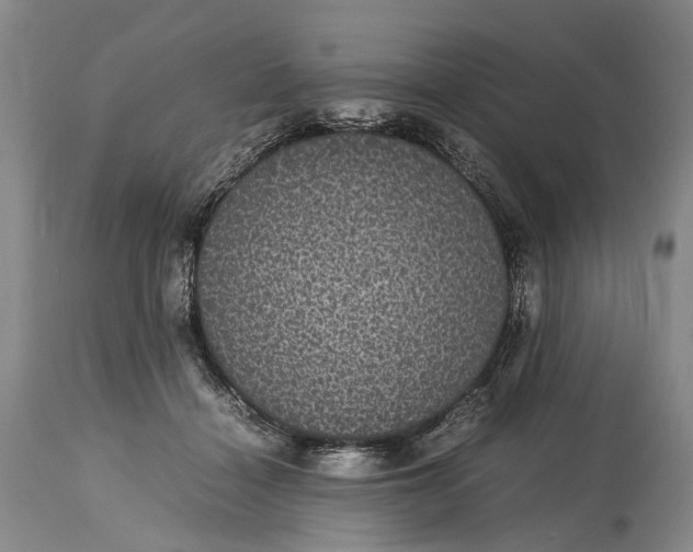 X0000115340460200911161836