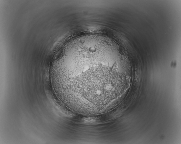 X0000115340461200911161836