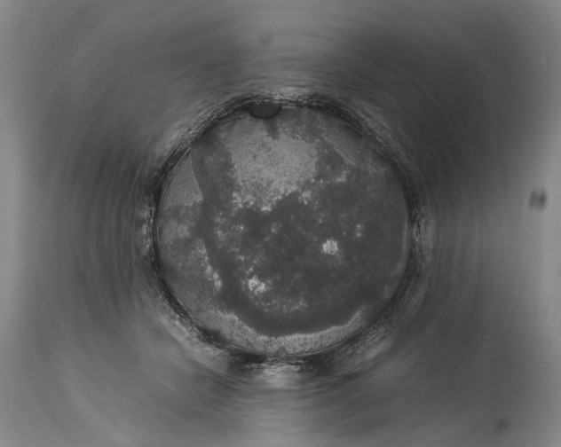 X0000115340462200911161836