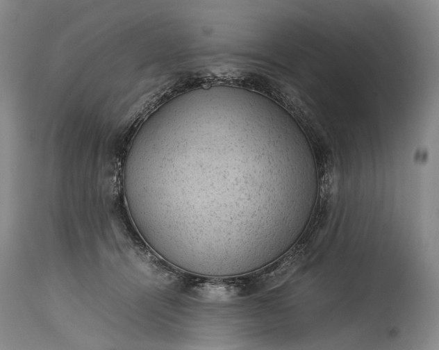 X0000115340464200911161836