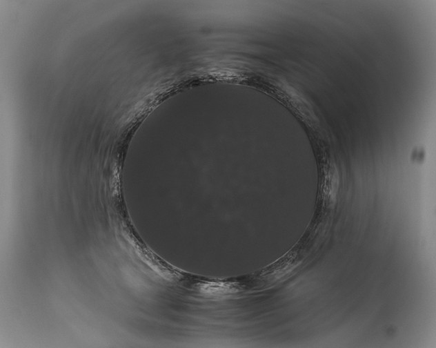 X0000115340465200911161836