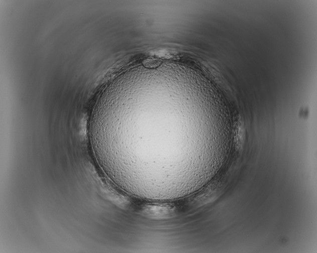 X0000115340466200911161836
