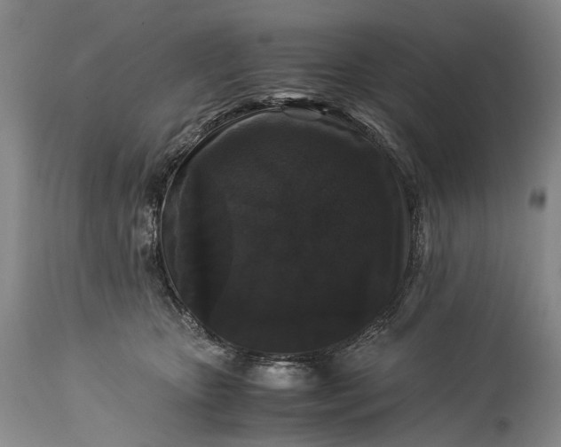 X0000115340467200911161836
