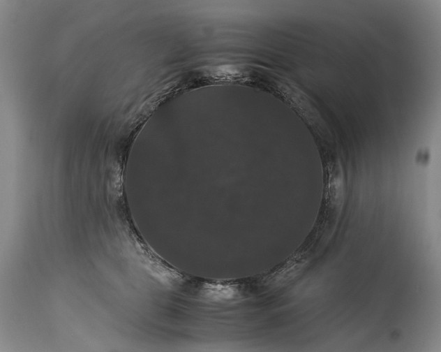 X0000115340469200911161836