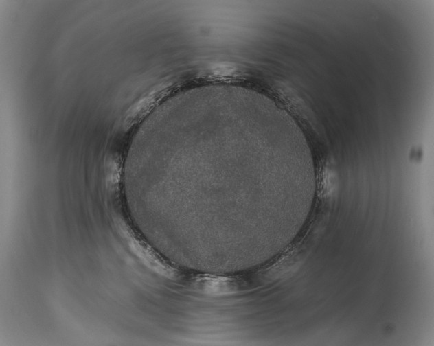 X0000115340472200911161836