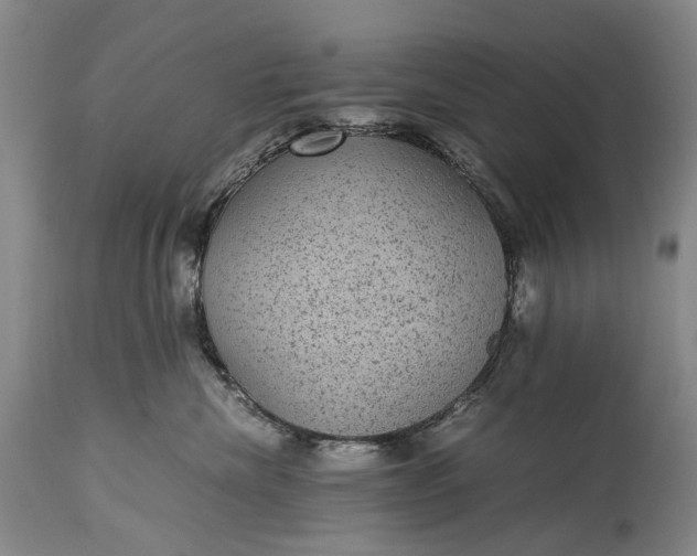 X0000115340476200911161837