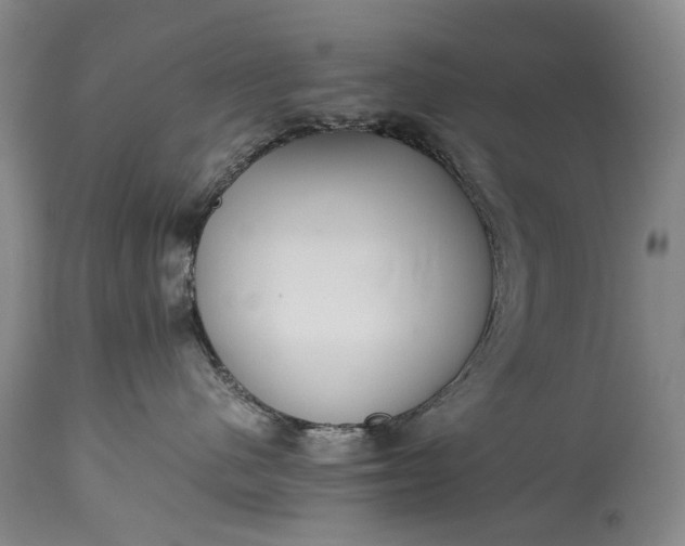 X0000115340480200911161837