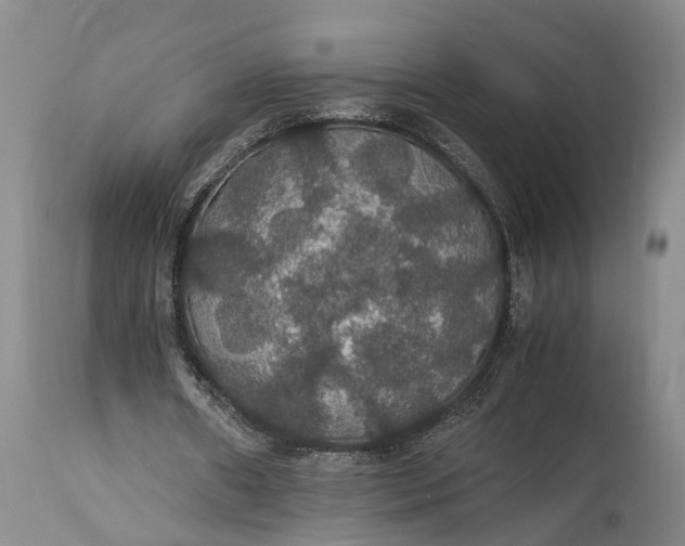 X0000115340482200911161836