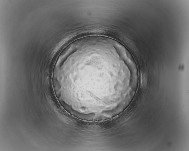 X0000115340483200911161836