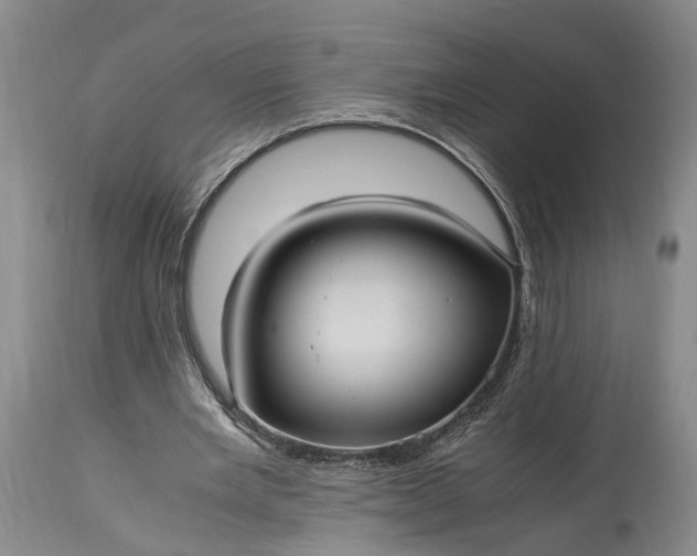 X0000115340485200911161836