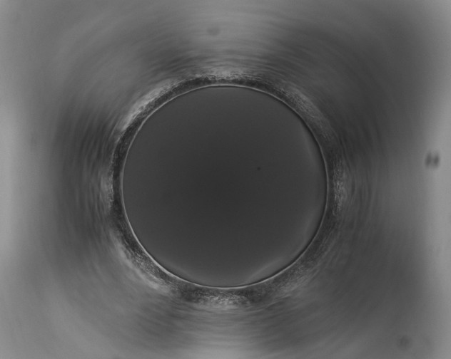 X0000115340488200911161835