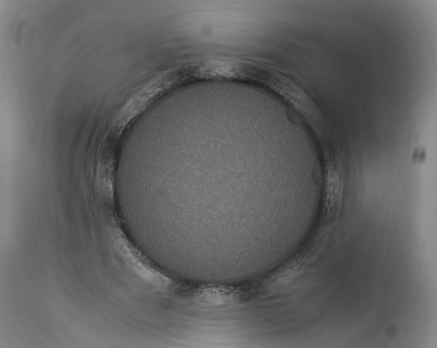 X0000115340489200911161835
