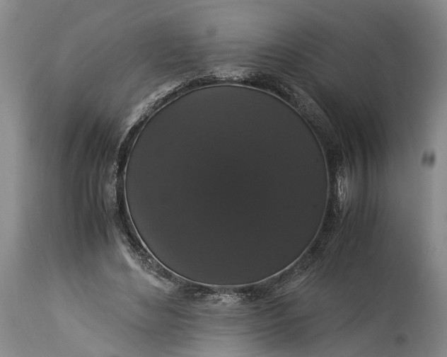 X0000115340492200911161835