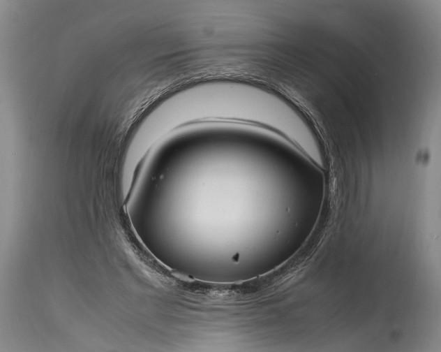 X0000115340493200911161835