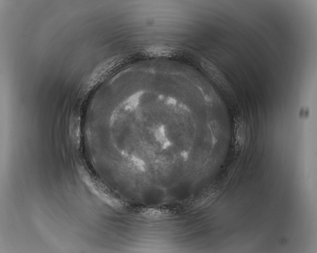 X0000115340494200911161835
