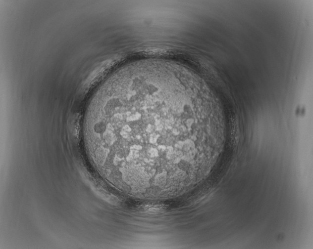 X0000115340495200911161835