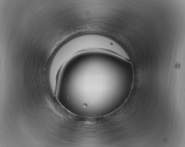 X0000115340496200911161835
