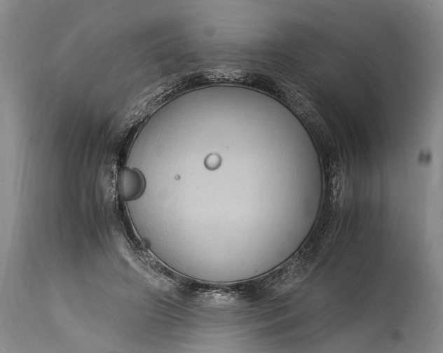 X0000115340498200911161835