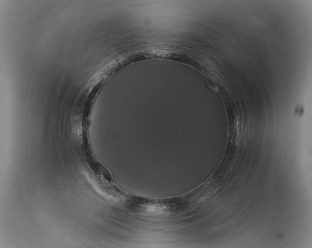 X0000115340500200911161835
