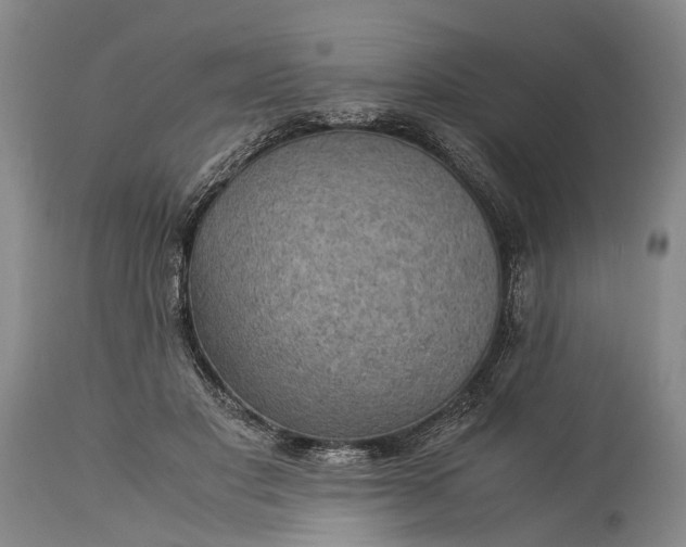 X0000115340501200911161835