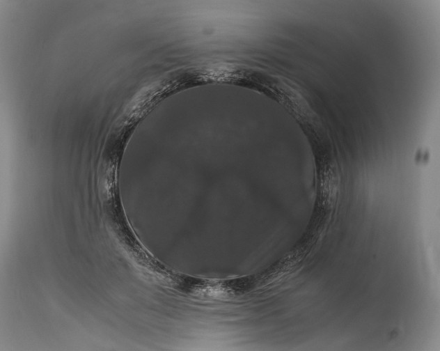 X0000115340503200911161835