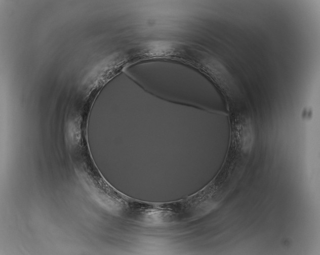 X0000115340504200911161835