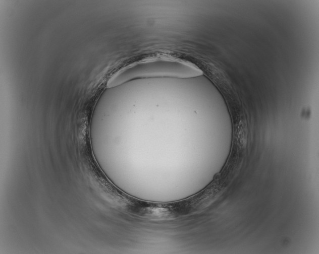 X0000115340509200911161835