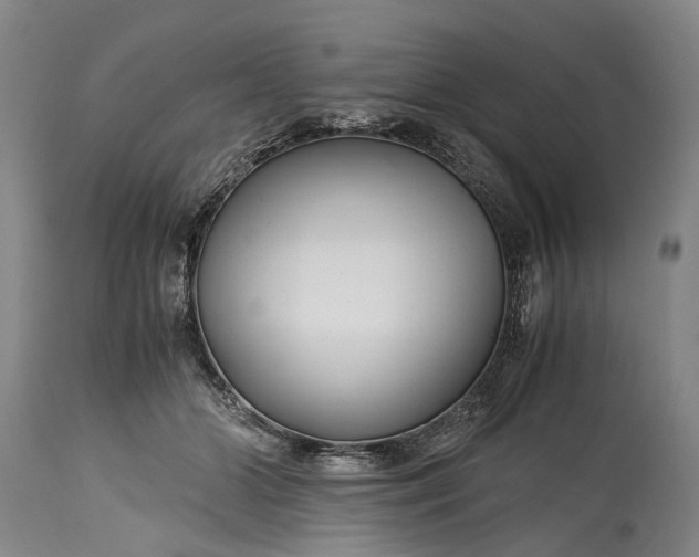 X0000115340510200911161835