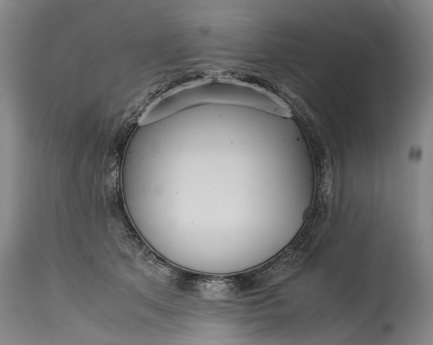 X0000115340513200911161835