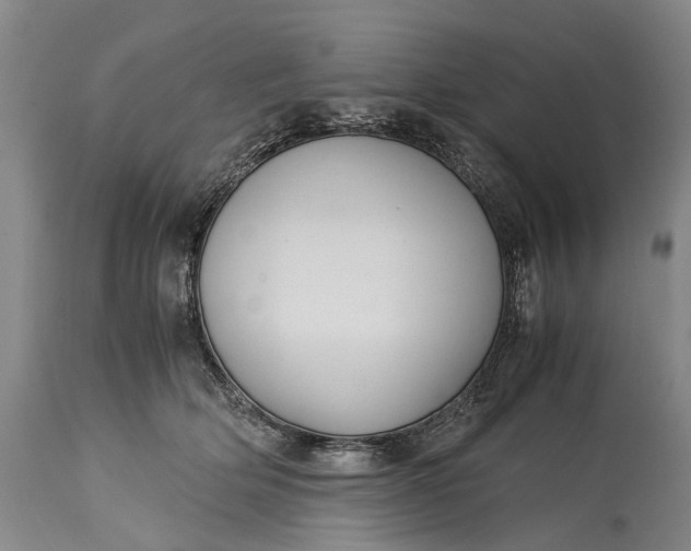 X0000115340514200911161835