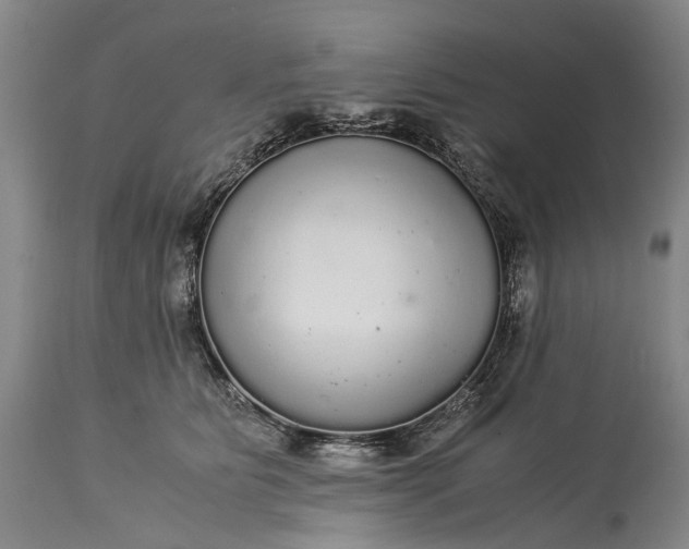 X0000115340515200911161835