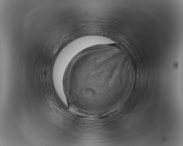 X0000115340516200911161835