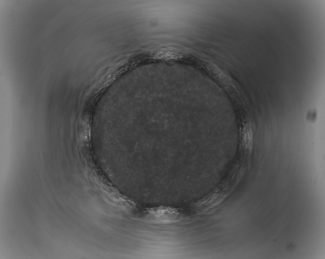 X0000115340517200911161835
