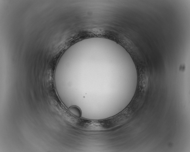 X0000115340518200911161835