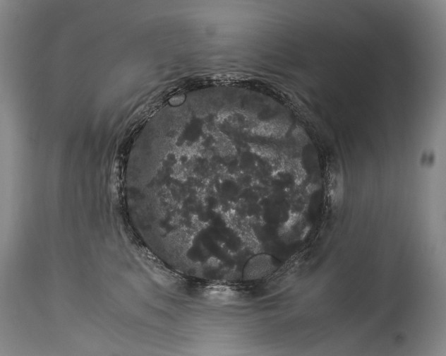 X0000115340519200911161835