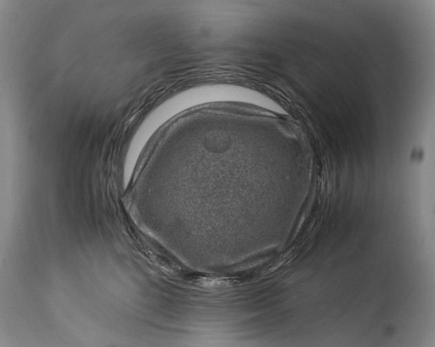 X0000115340520200911161835