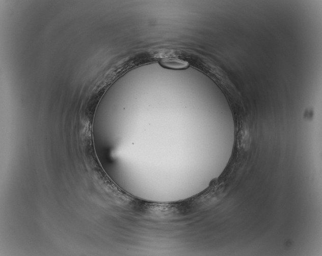 X0000115340521200911161835