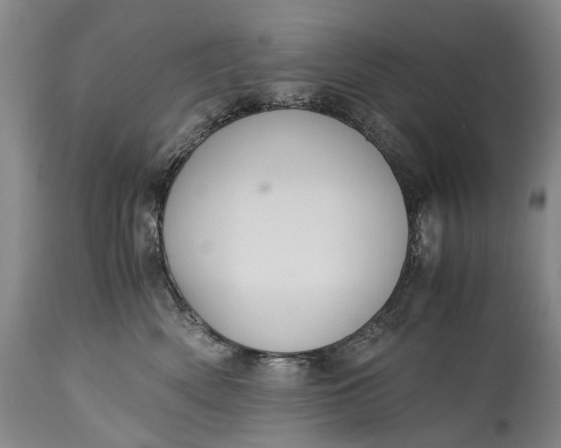 X0000115340522200911161835