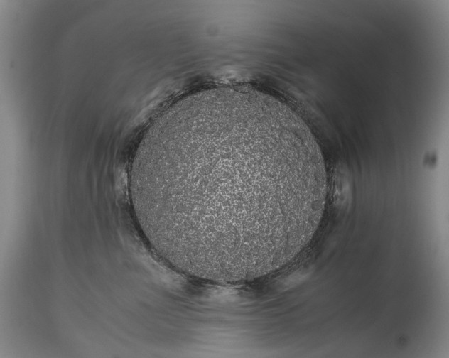 X0000115340523200911161835