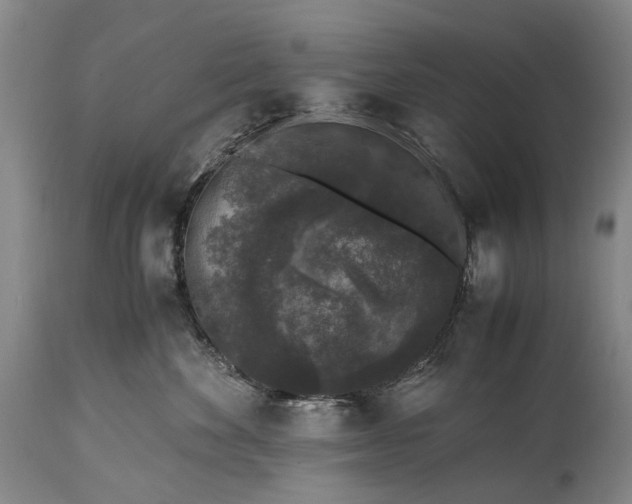 X0000115340524200911161835