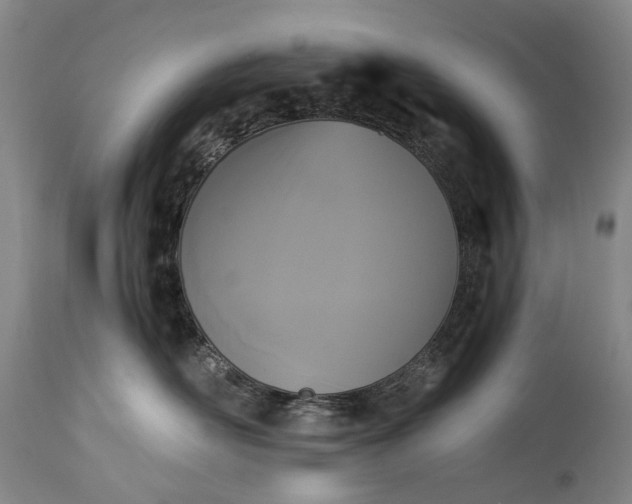 X0000115340526200911161835